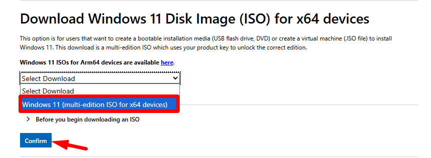 Select Windows 11 edition and Download